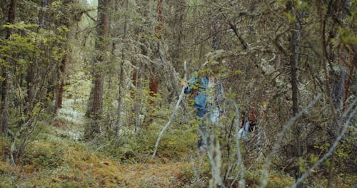 A Couple Walking in a Forest 