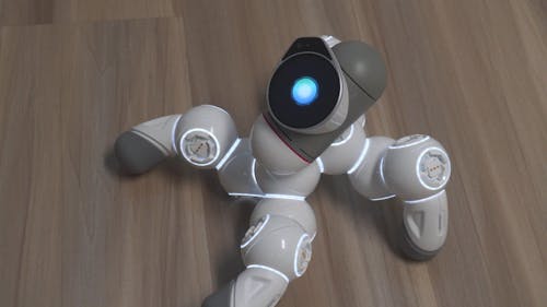 Robotic Movements of a Clicbot
