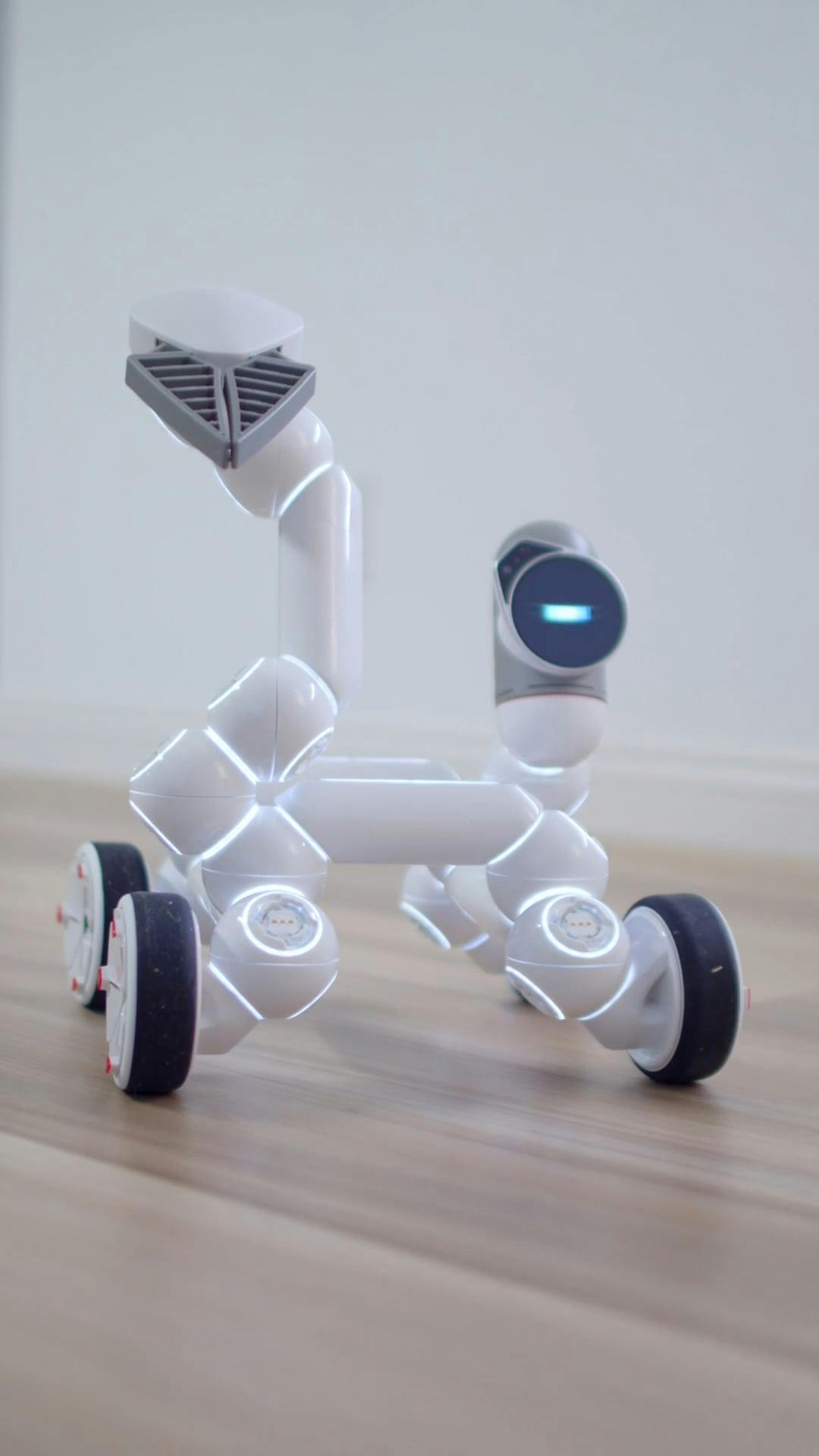 Video by Kindel Media