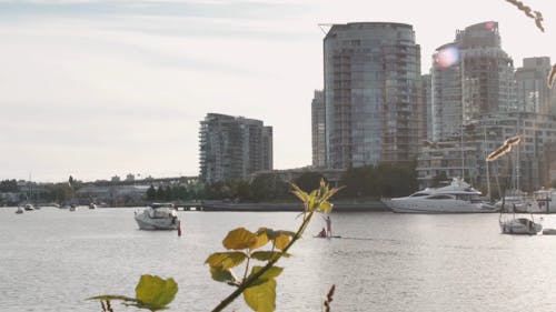 View of Docked Watercrafts and City Buildings