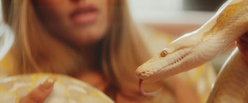 A Woman Talking to the Snake She is Holding