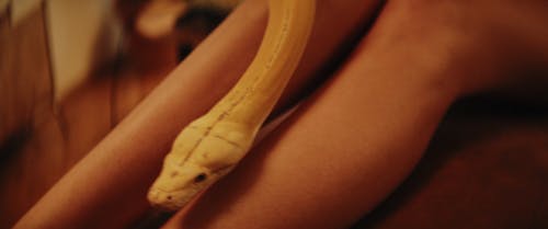 A Yellow Snake Crawling on a Woman's Legs