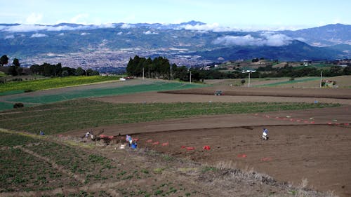 Costa Rica Videos, Download The BEST Free 4k Stock Video Footage Costa Rica Videos, Download The BEST Free 4k Stock Video Footage