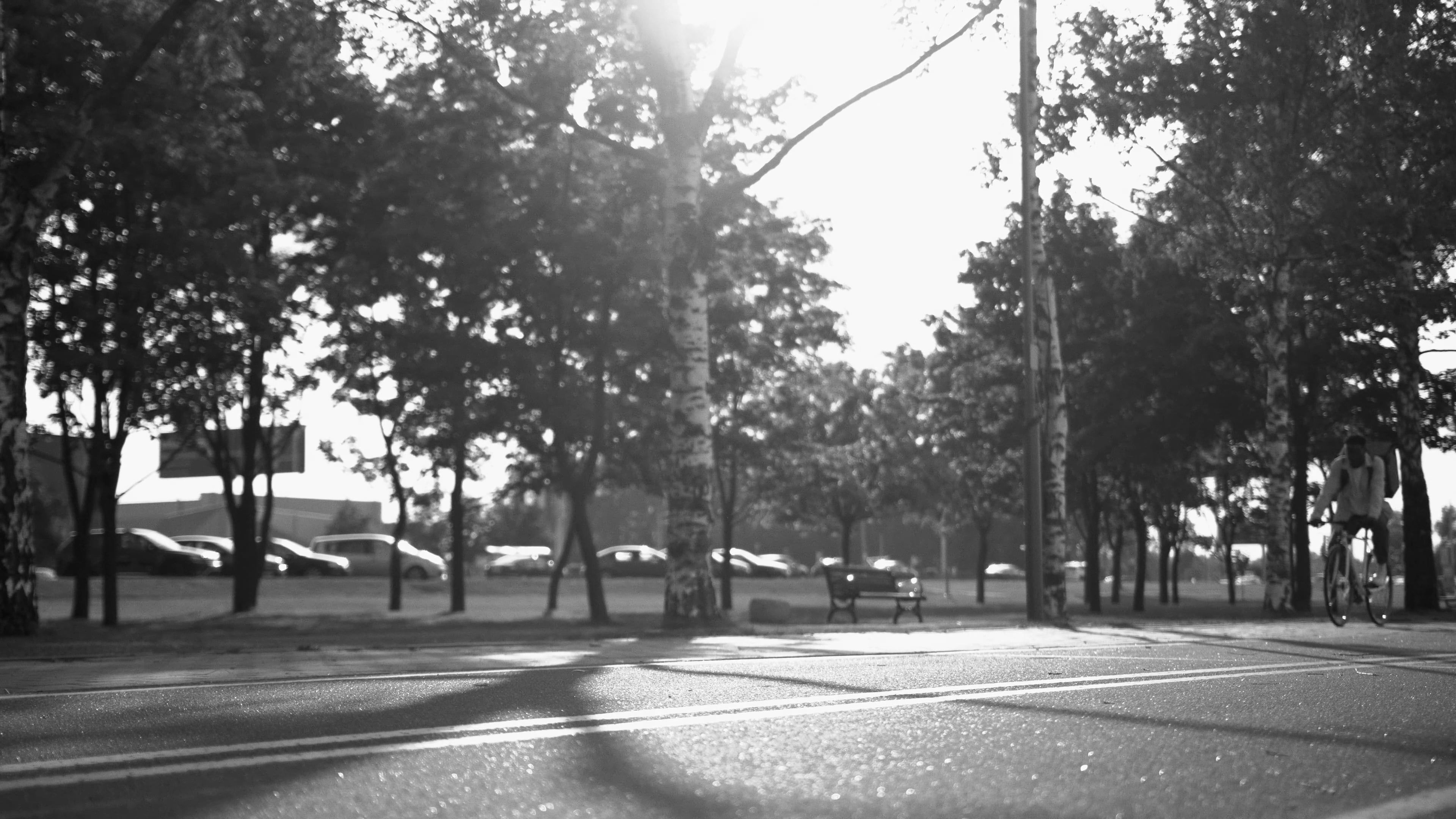Bicycle Courier video