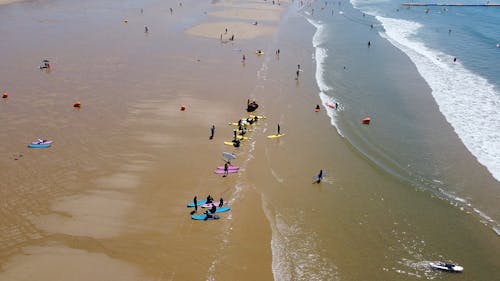 Drone Footage of Surfers on a Beach