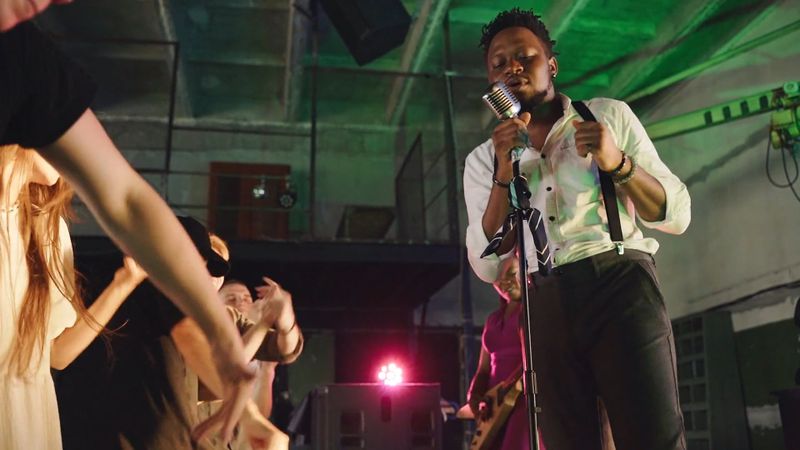 Person Video Recording the Performance of a Band Free Stock Video ...