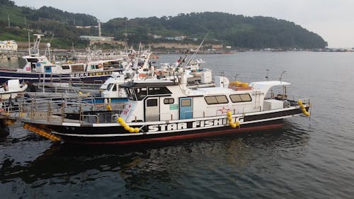 Fishing Boats Docked on a Marina