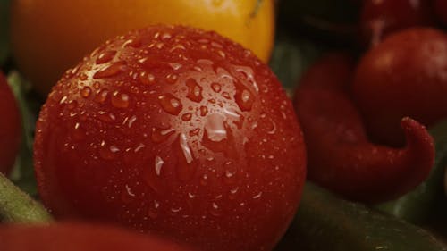 Close-up Footage of Fresh Vegetables