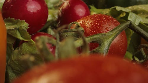 Close Up Shot of Fruits on the Table