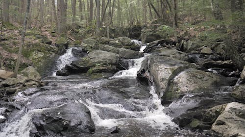 Cascading Waters on Mossy Rocks