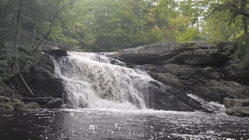 A Cascade of Water Flowing on a Stream