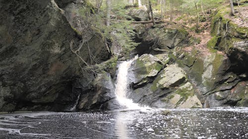 Water Flowing on Mossy Rocks