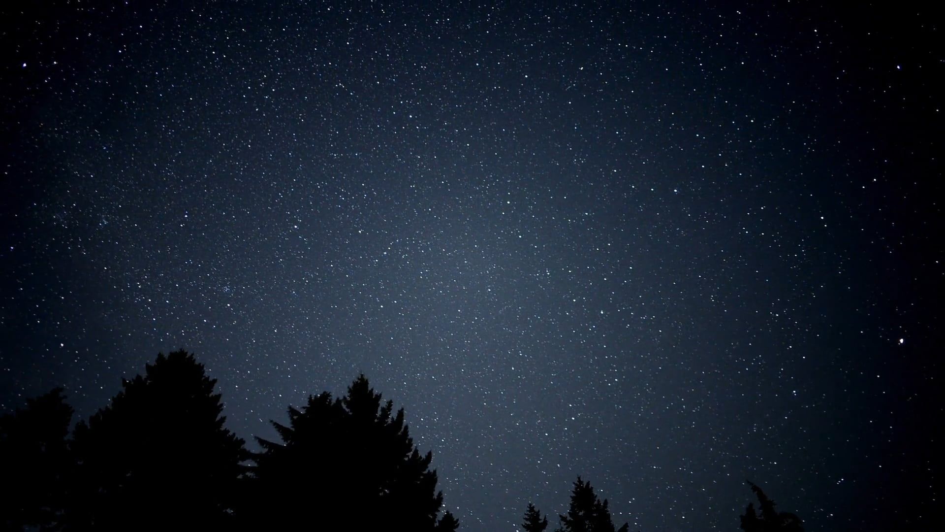 beautiful stars in the sky at night 9075279 — free pexels stock footage
