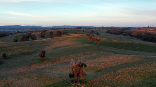 Aerial Footage of Grassland