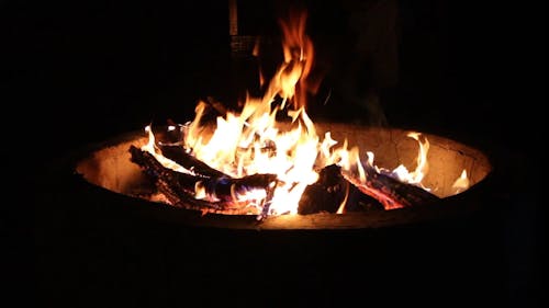 Firewood Burning on a Fire Pit