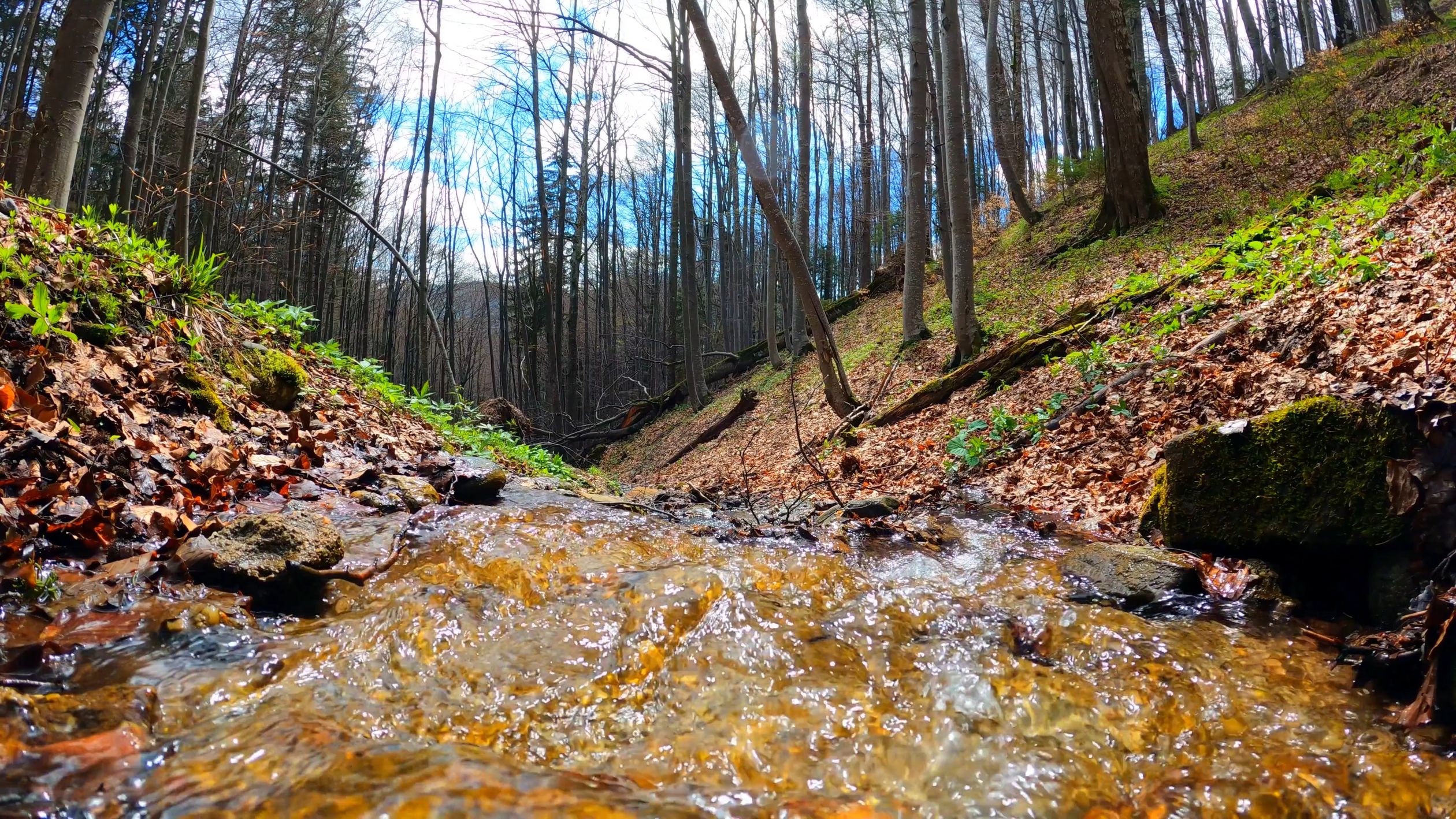Water Flowing in the River Free Stock Video Footage, Royalty-Free 4K ...
