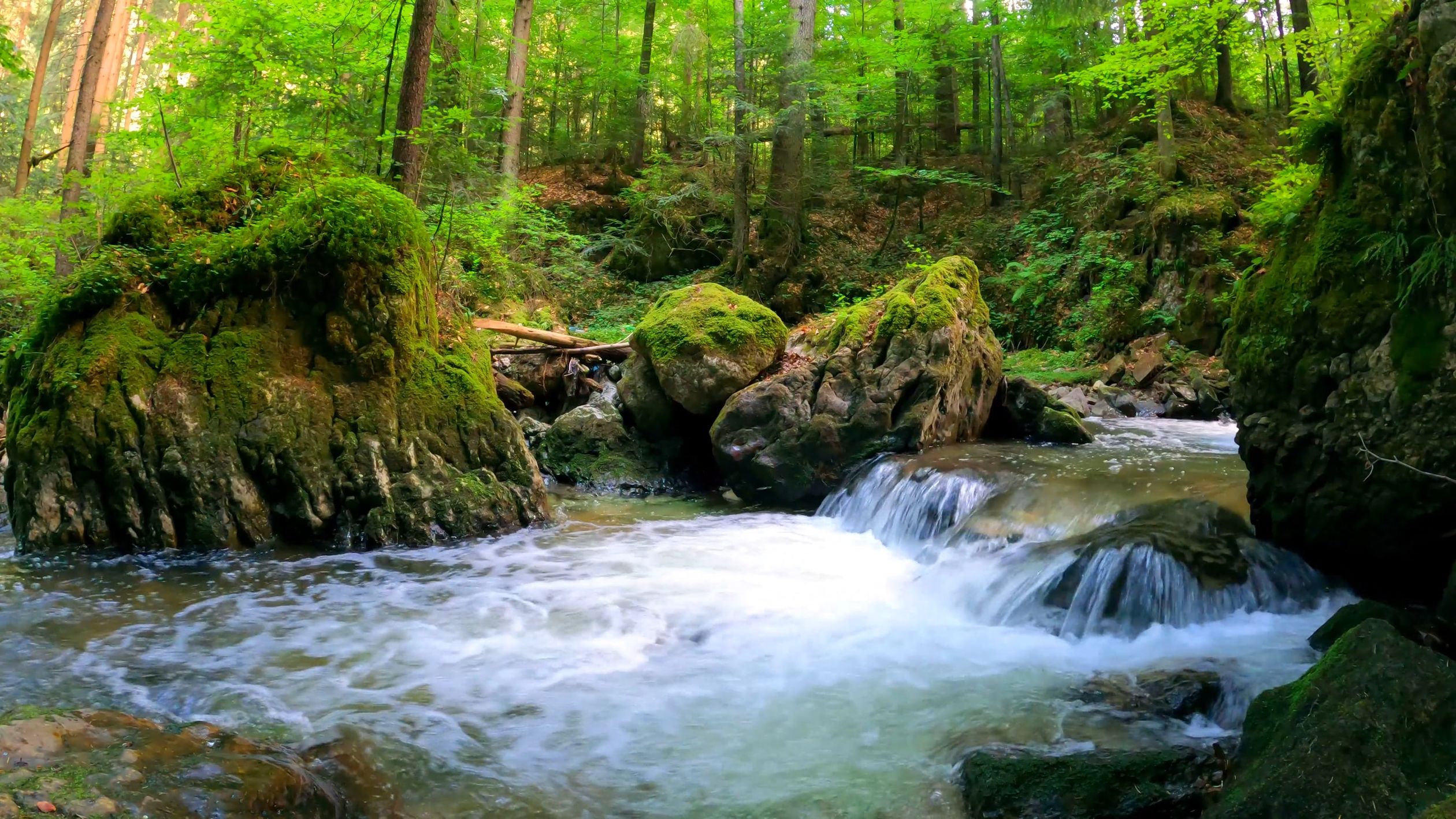 Water Flowing in the River Free Stock Video Footage, Royalty-Free 4K ...