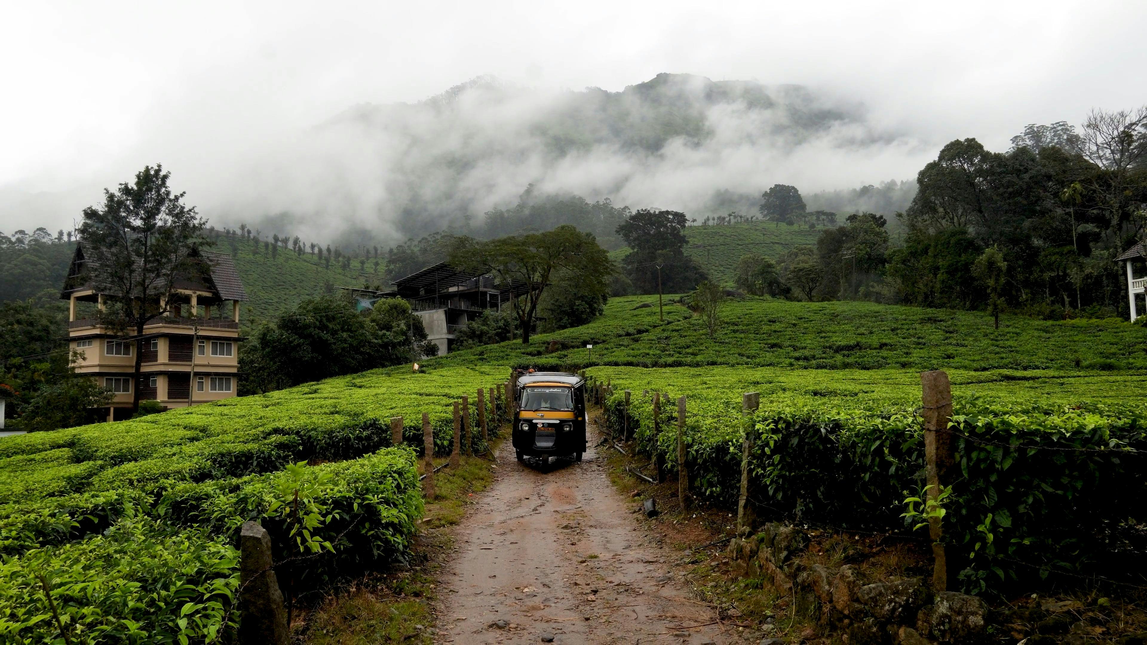 Video by syam krishnan