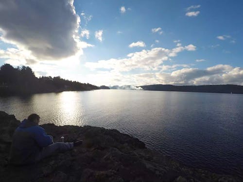 People Reading Books at Lakeside