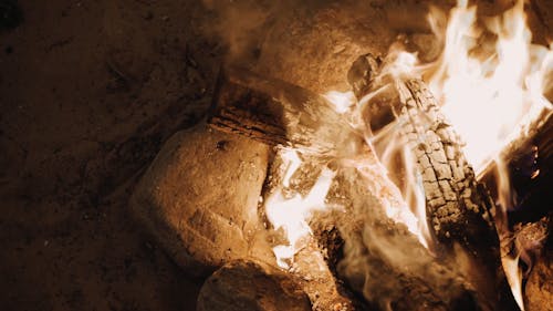A Close-up Video of a Campfire