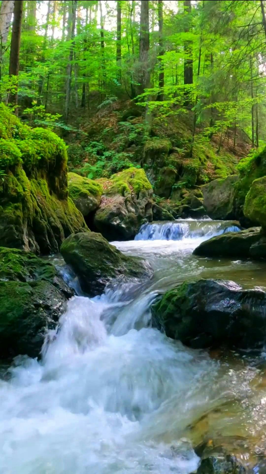 water cascading on mossy rocks 9134655