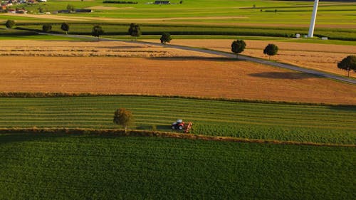 Tractor Harvesting on a Farmland