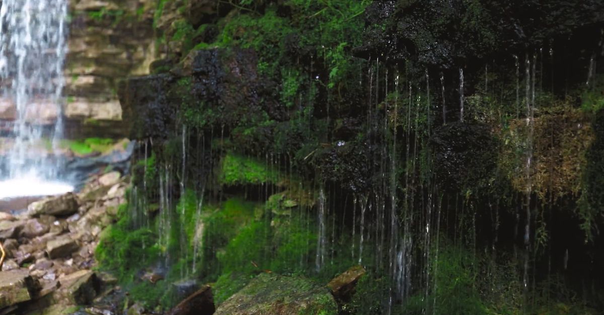 Mossy Rocks Fall Waters Falling on Mossy Rocks Free Stock Video Footage, Royalty-Free 4K ...