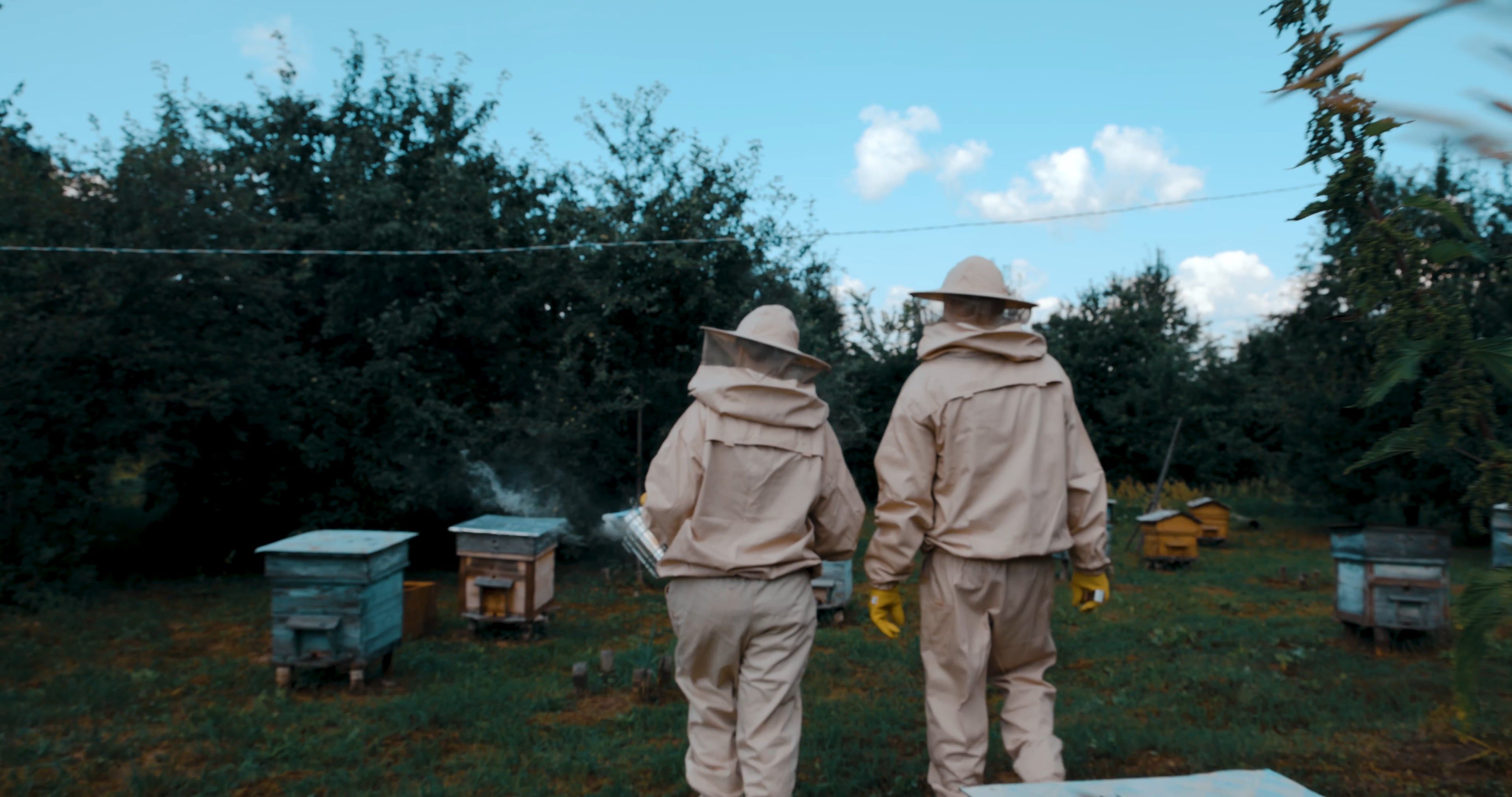Beekeeper video