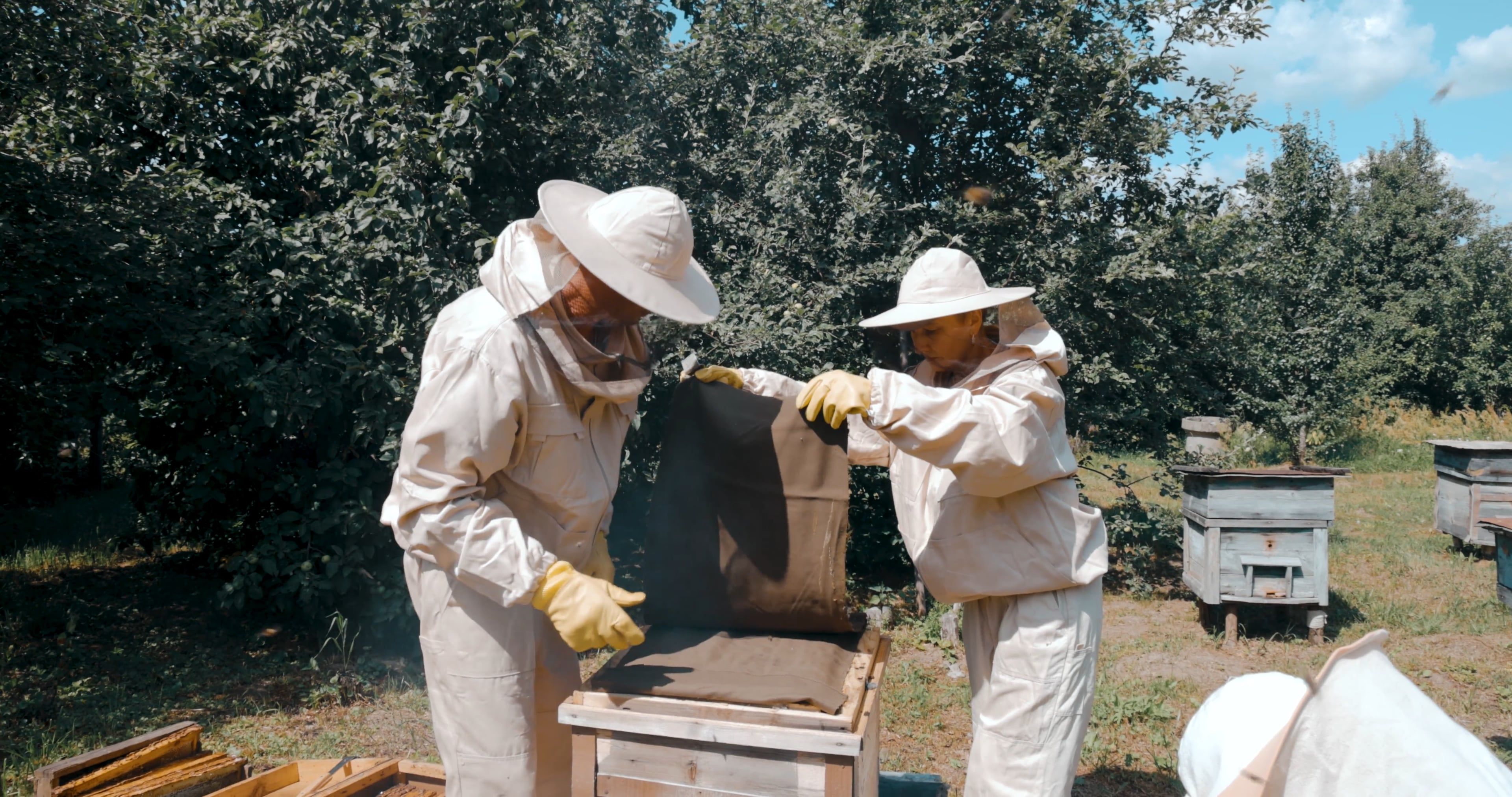 Beekeeper video