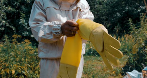 A Person Putting on Beekeeping Gloves 