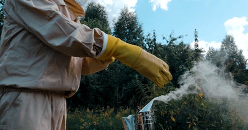 An Apiarist Putting on Beekeeping Gloves 