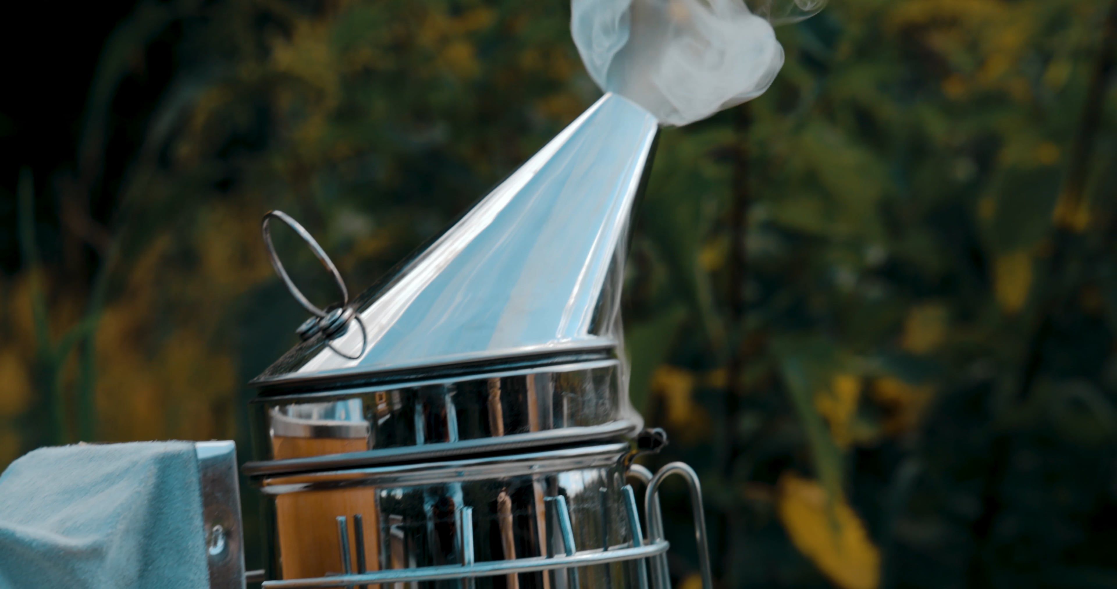 close up shot of a bee smoker 9153859 — free pexels stock footage