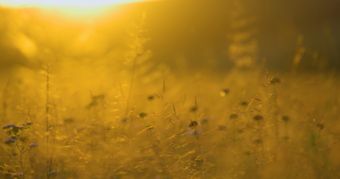 治愈系风景视频素材免费下载视频素材