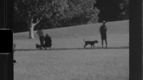 Black and White Footage of People in the Park