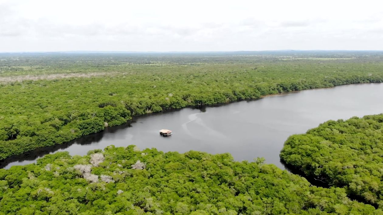 Drone Footage of a River and Trees Free Stock Video Footage, Royalty ...