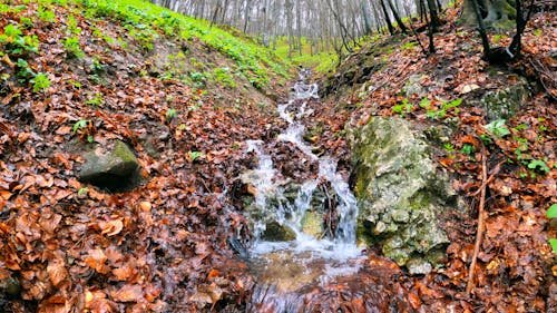 Water Flowing on the Creek