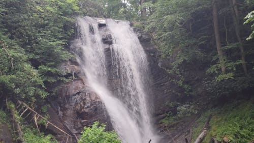 Waterfalls Cascading on Tree Logs and Rocks