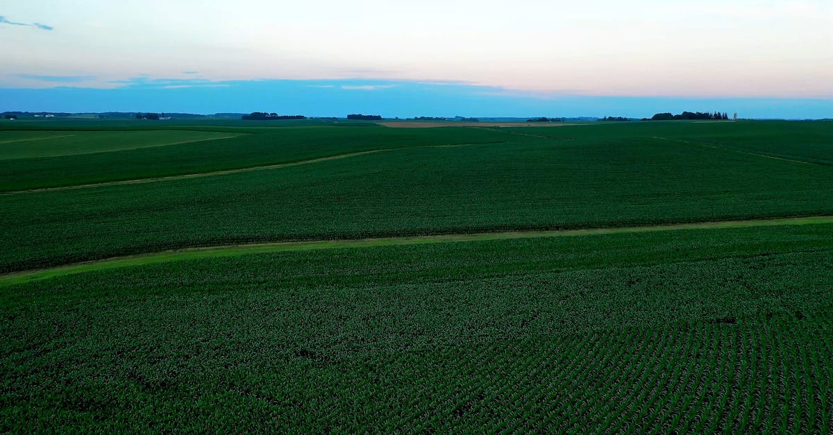 Vídeo profissional gratuito de aéreo, aerofotografia, agricultura, área ...