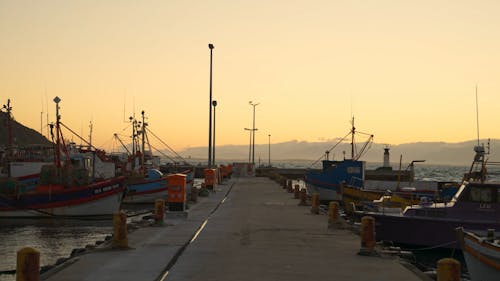 Fishing Boats Moored on the Harbor