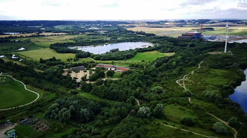 Drone Footage of a Land Full of Trees