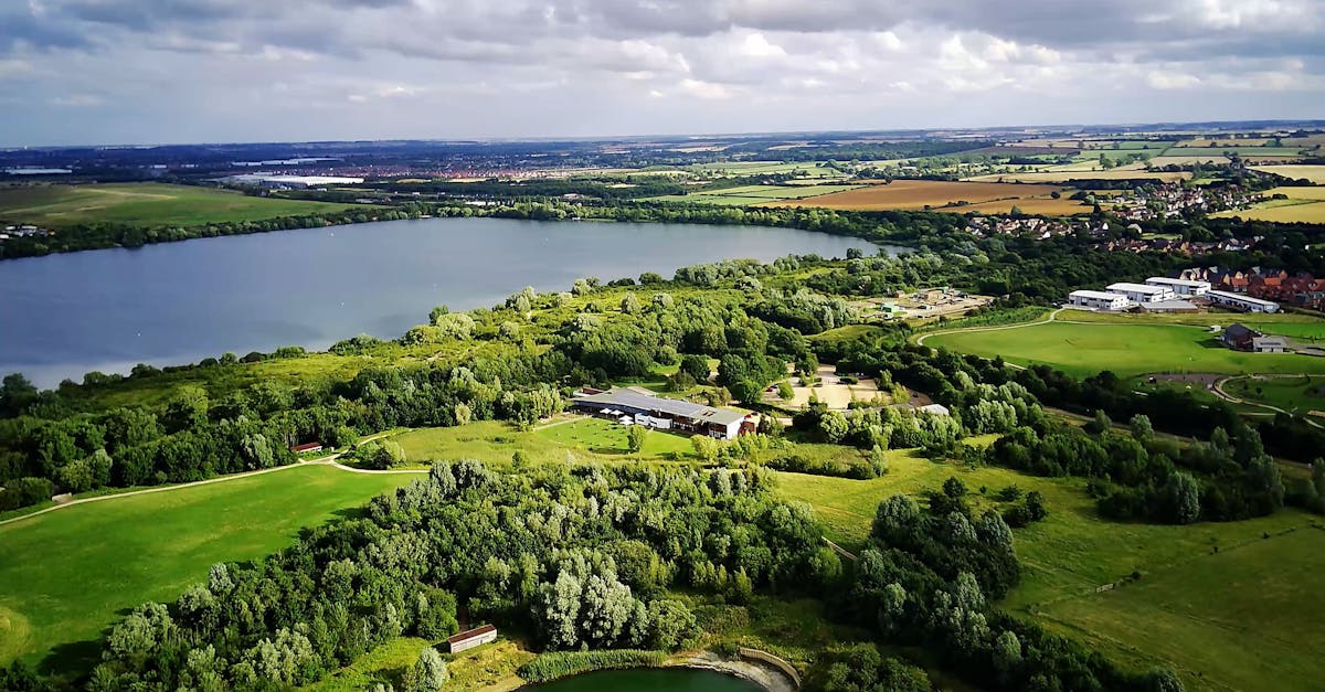 Vídeo profissional gratuito de agricultura, ao ar livre, árvores ...