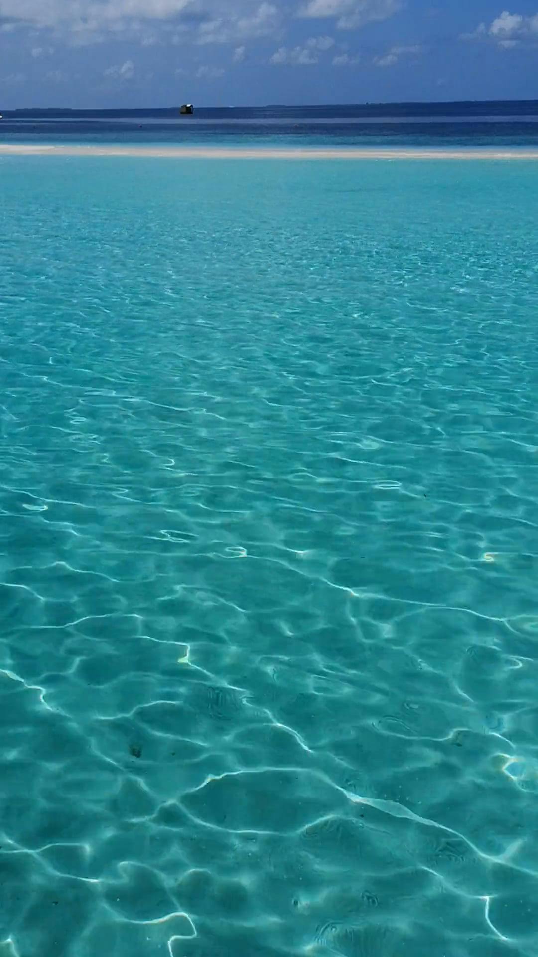 Video by Ahmed Abd Allah