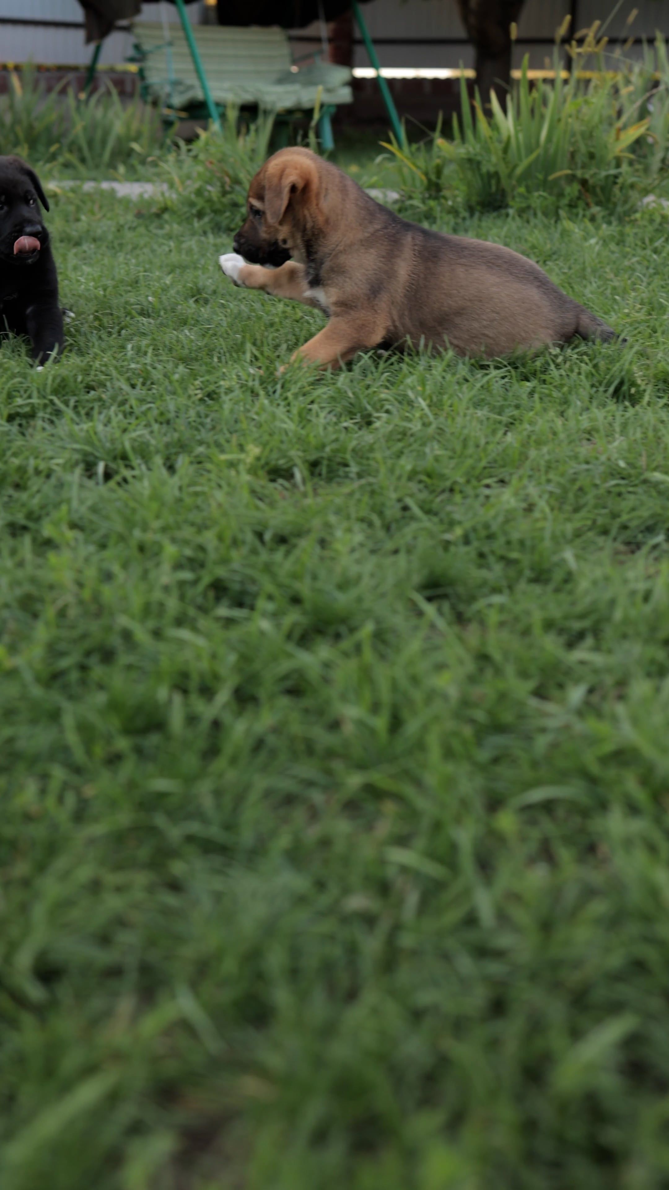 Pexels Video 9314159