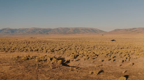 A Black Car Travelling on a Dirt Road