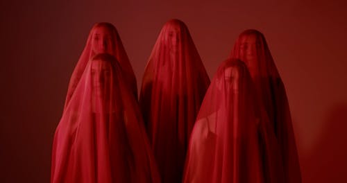 A Woman Standing in front of People Covered in Red Sheer Fabric