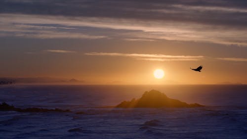 A Beautiful Sunrise on the Beach