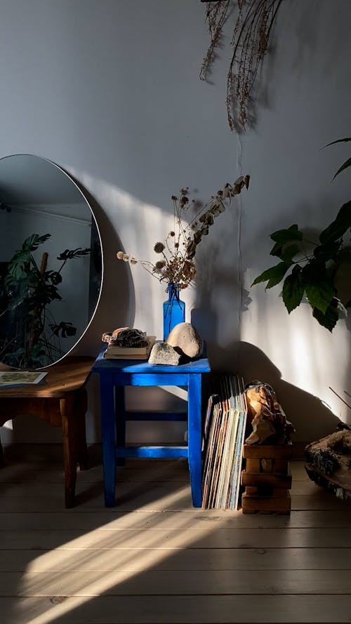 Mirror and Indoor Plants