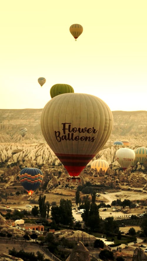 Hot Air Balloons in the Sky During Golden Hour