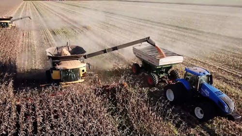 Tractors Harvesting a Corn Field