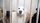 rescue dog